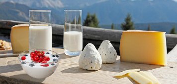Kalorientabelle zu Ausdrucken - Milch, Milchprodukte, Käse und Eier